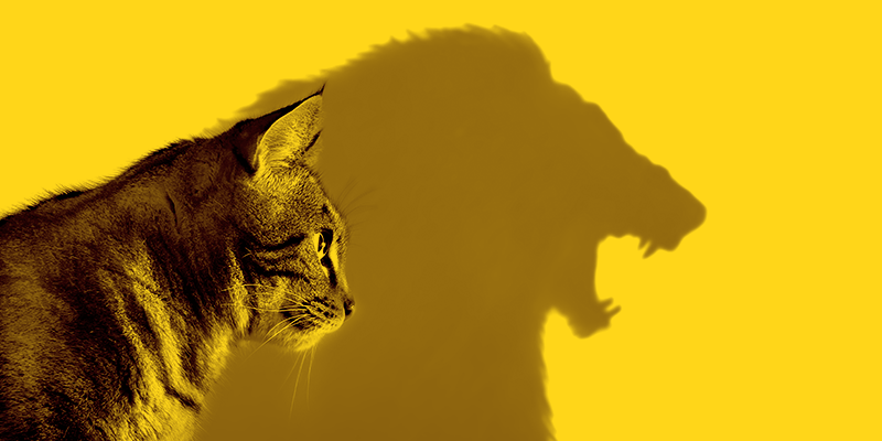 Confidence in negotiation